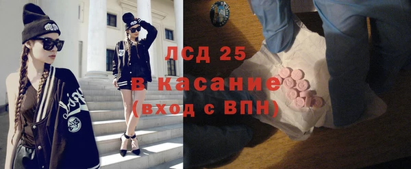 сатива Алзамай