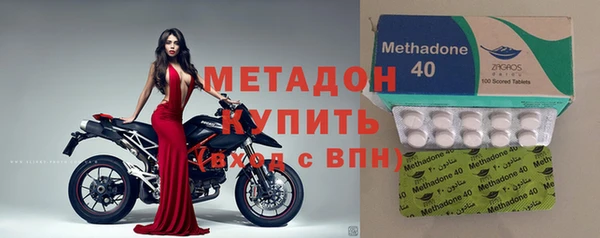 гашик Алексин