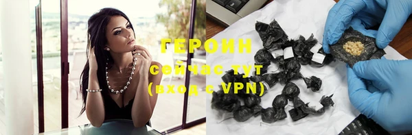 гашик Алексин