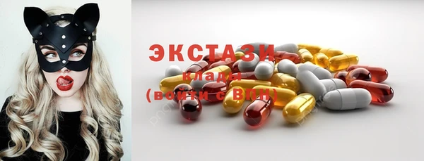 гашик Алексин
