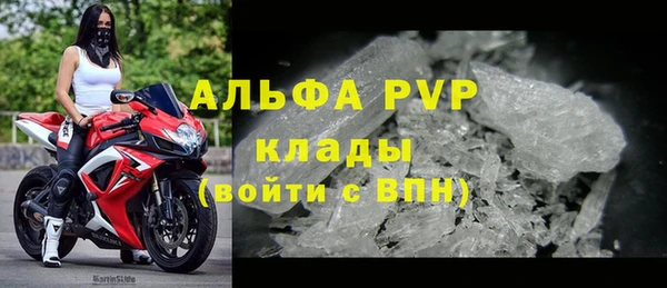 гашик Алексин
