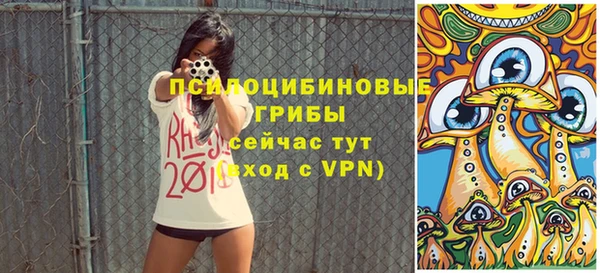метадон Пересвет