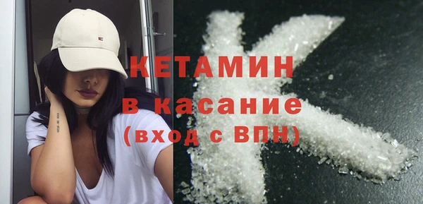 гашик Алексин