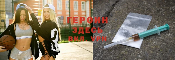 гашик Алексин