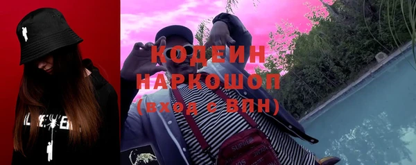 гашик Алексин